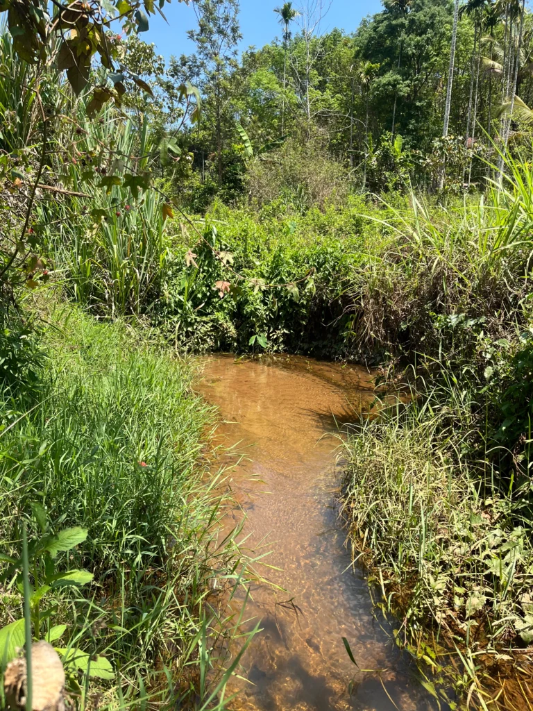 Pristine Creek at the boundary!